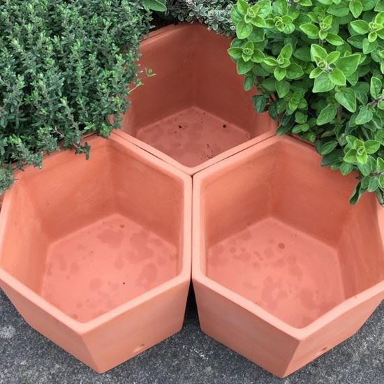 Hexagonal Herb Pots Terracotta Uk Hand Made Uk Terracotta