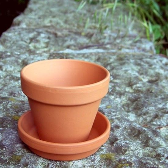 Terracotta Plant Pots And Saucers