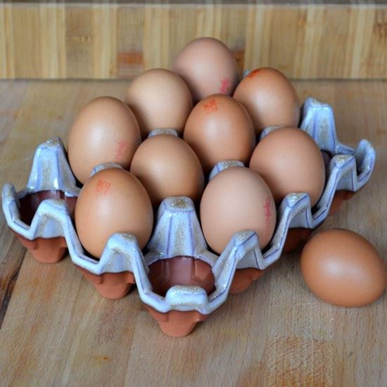 Pottery Egg Holders for 12 Eggs - Mushroom Glaze | Terracotta.uk.com ...