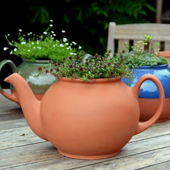 Teapot Planters Handmade UK Terracotta Production