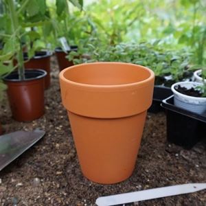 Picture of Elegant Long Tom Pots (12 x 14cm h) Pack of 5